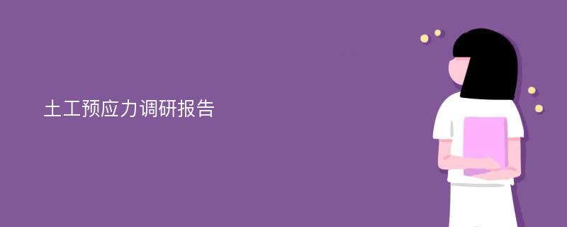 土工预应力调研报告