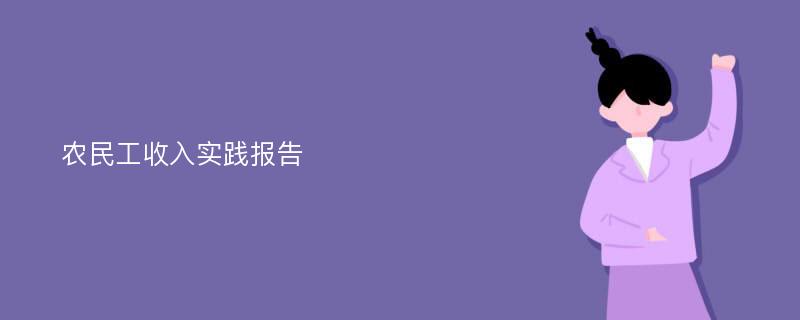 农民工收入实践报告