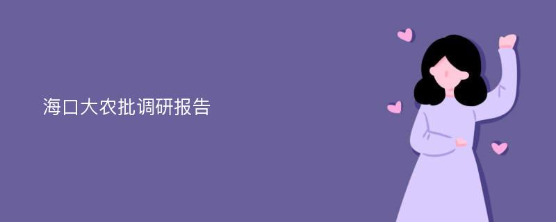 海口大农批调研报告