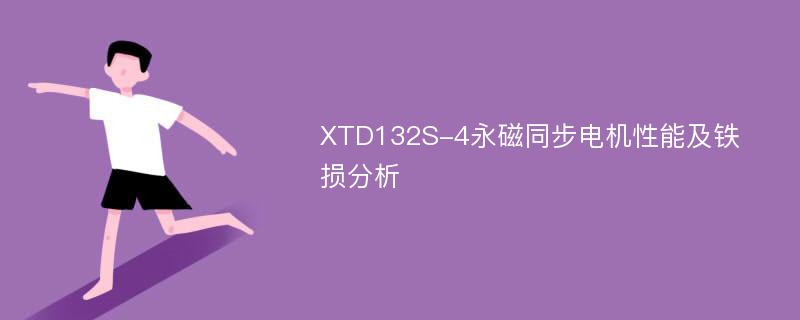 XTD132S-4永磁同步电机性能及铁损分析