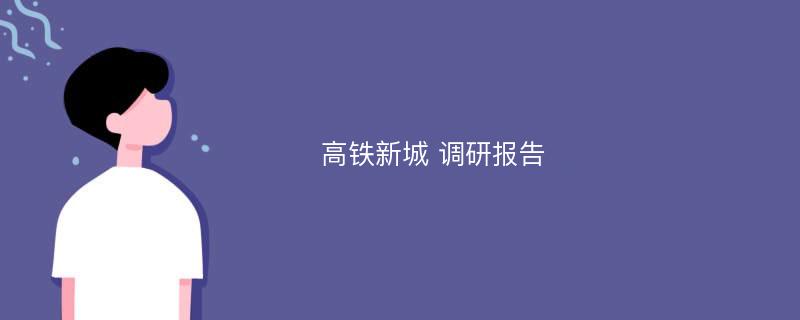 高铁新城 调研报告