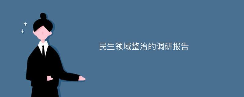 民生领域整治的调研报告