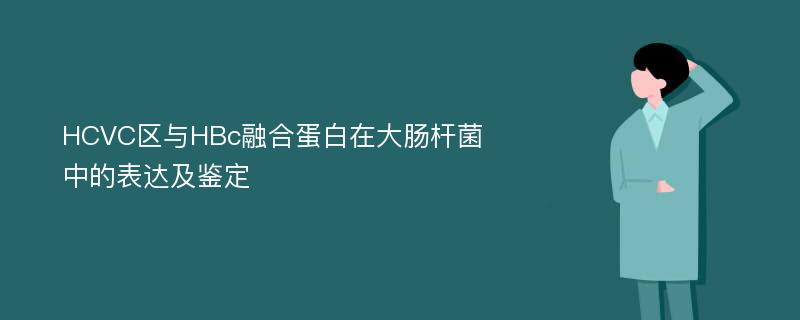 HCVC区与HBc融合蛋白在大肠杆菌中的表达及鉴定