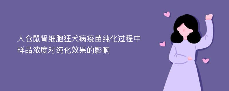 人仓鼠肾细胞狂犬病疫苗纯化过程中样品浓度对纯化效果的影响