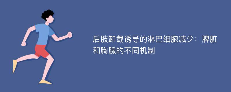 后肢卸载诱导的淋巴细胞减少：脾脏和胸腺的不同机制