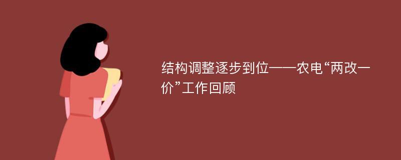 结构调整逐步到位——农电“两改一价”工作回顾