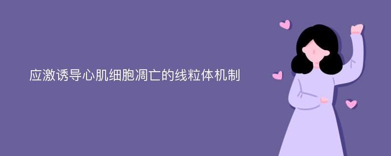 应激诱导心肌细胞凋亡的线粒体机制