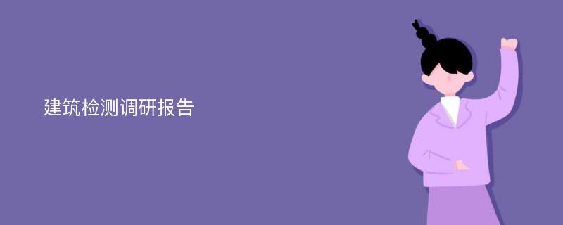 建筑检测调研报告