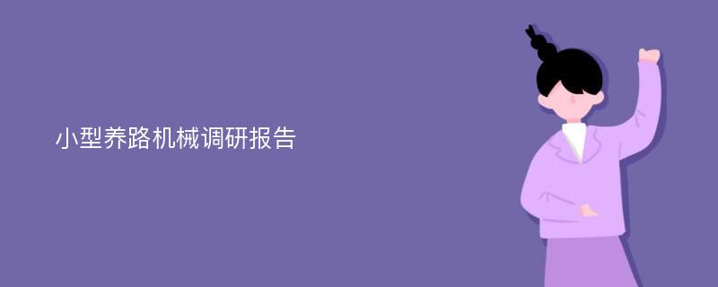 小型养路机械调研报告