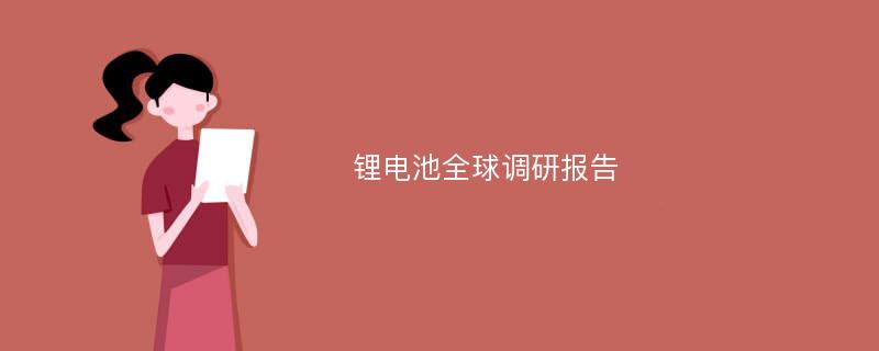 锂电池全球调研报告