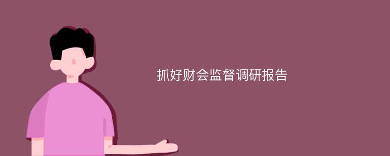 抓好财会监督调研报告