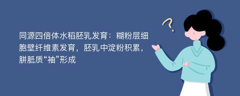 同源四倍体水稻胚乳发育：糊粉层细胞壁纤维素发育，胚乳中淀粉积累，胼胝质“袖”形成