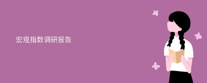 宏观指数调研报告