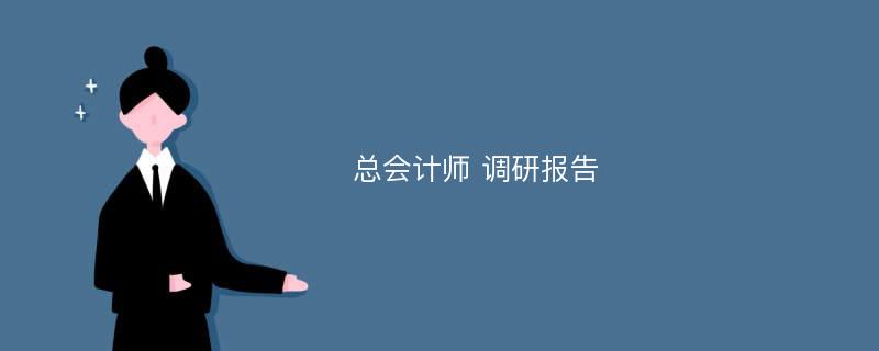 总会计师 调研报告